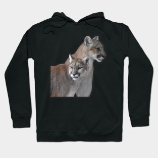 Mountain Lion Hoodie